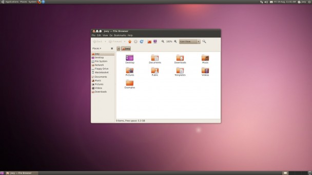 Ubuntu10.04.4