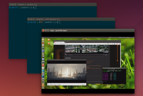 ubuntu14.04-borderless-window-decorations