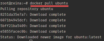 Download Ubuntu image in docker.