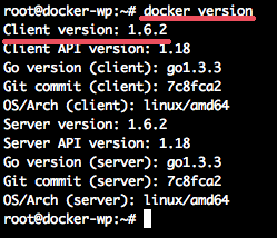 Docker_Version